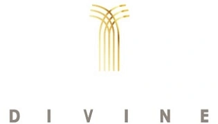 DIVINE DIVINE