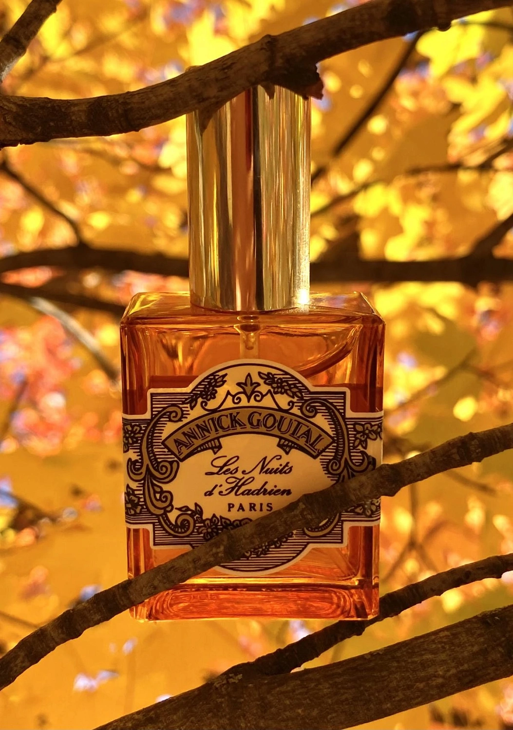 Annick Goutal Les Nuits D'Hadrien Men