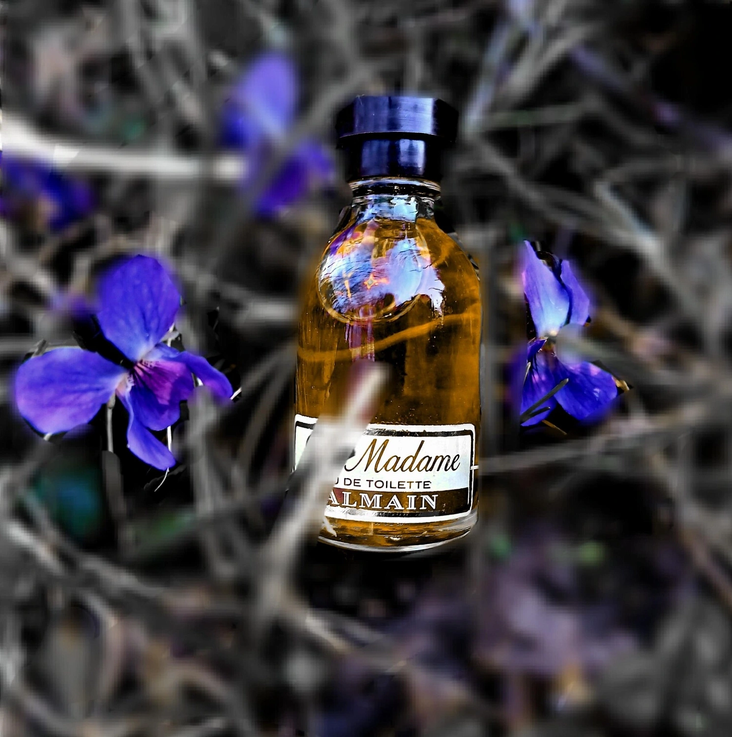 Balmain Jolie Madame