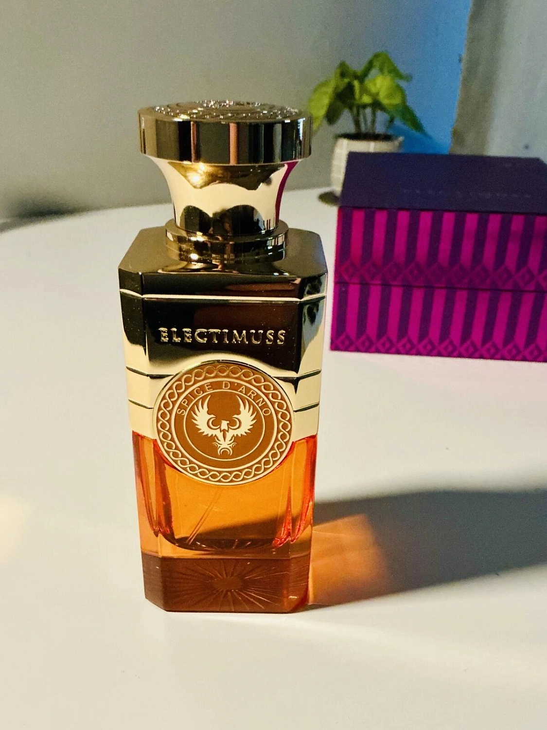 Electimuss Spice D'Arno Electimuss Spice D'Arno