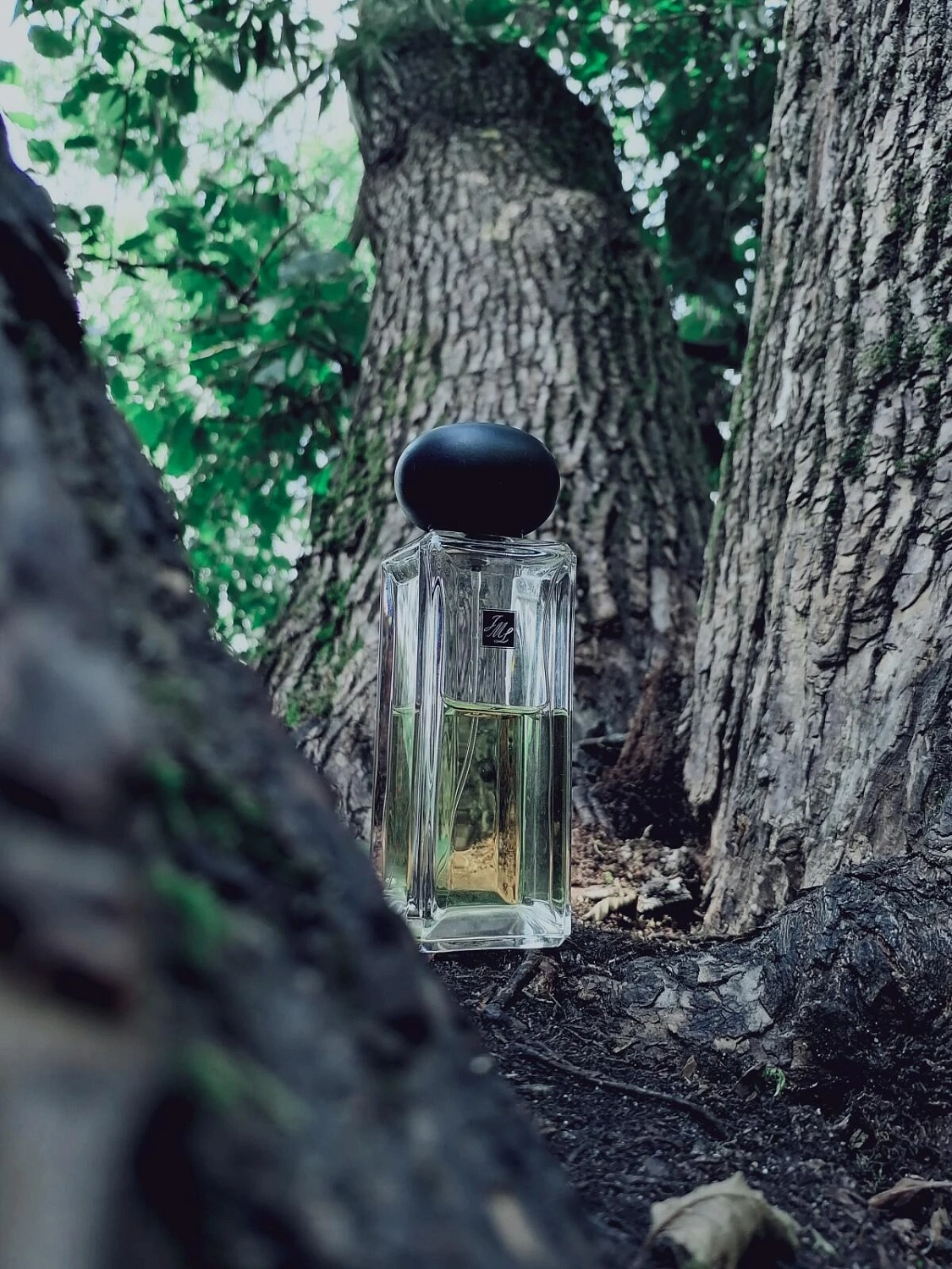 Jo Malone Darjeeling Tea