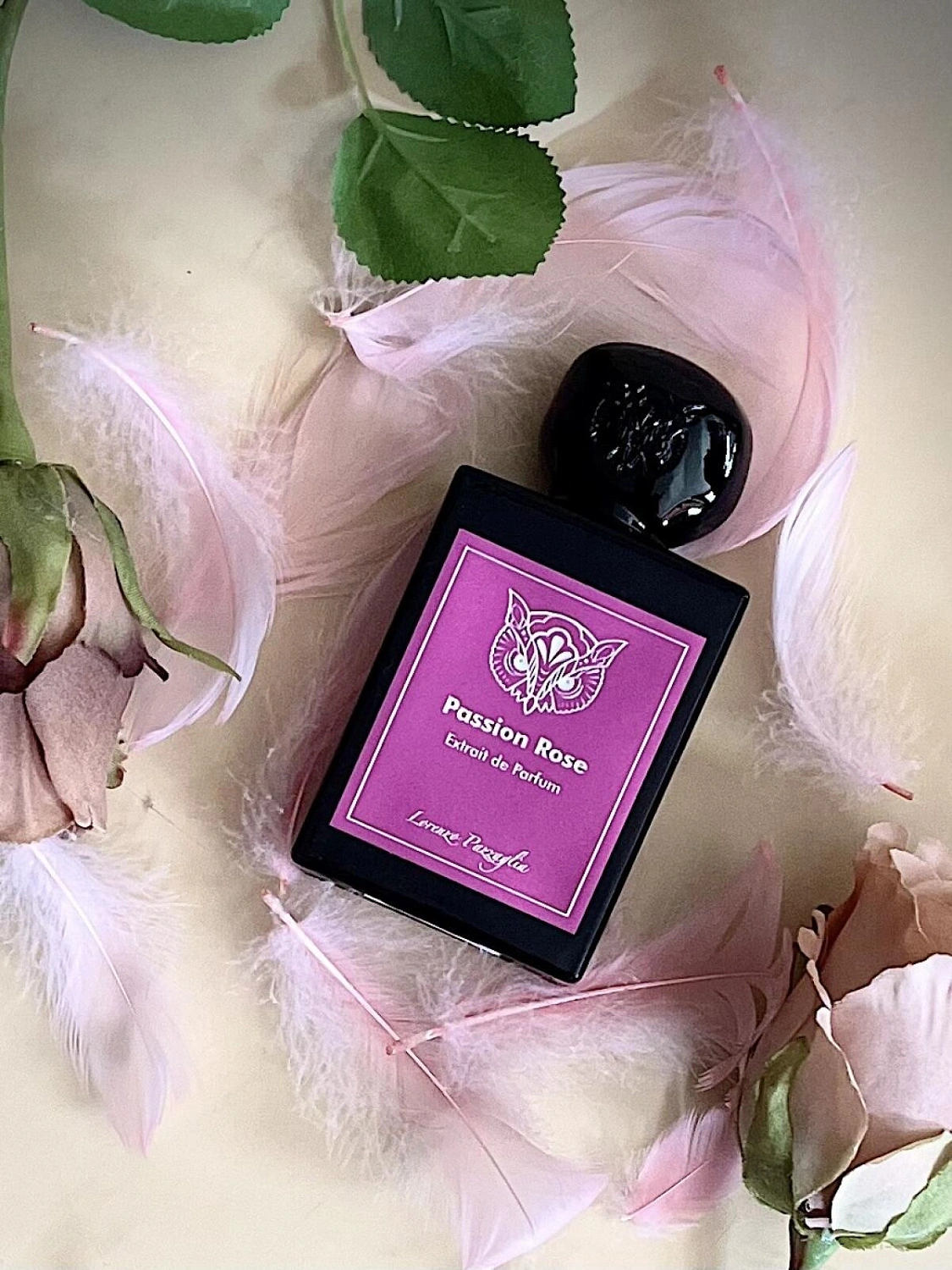 Lorenzo Pazzaglia Passion Rose Lorenzo Pazzaglia Passion Rose
