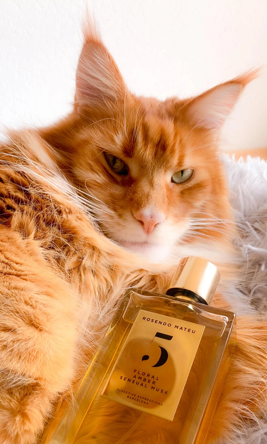 Rosendo Mateu Olfactive Expressions Rosendo Mateu Nº 5 Floral, Amber, Sensual Musk