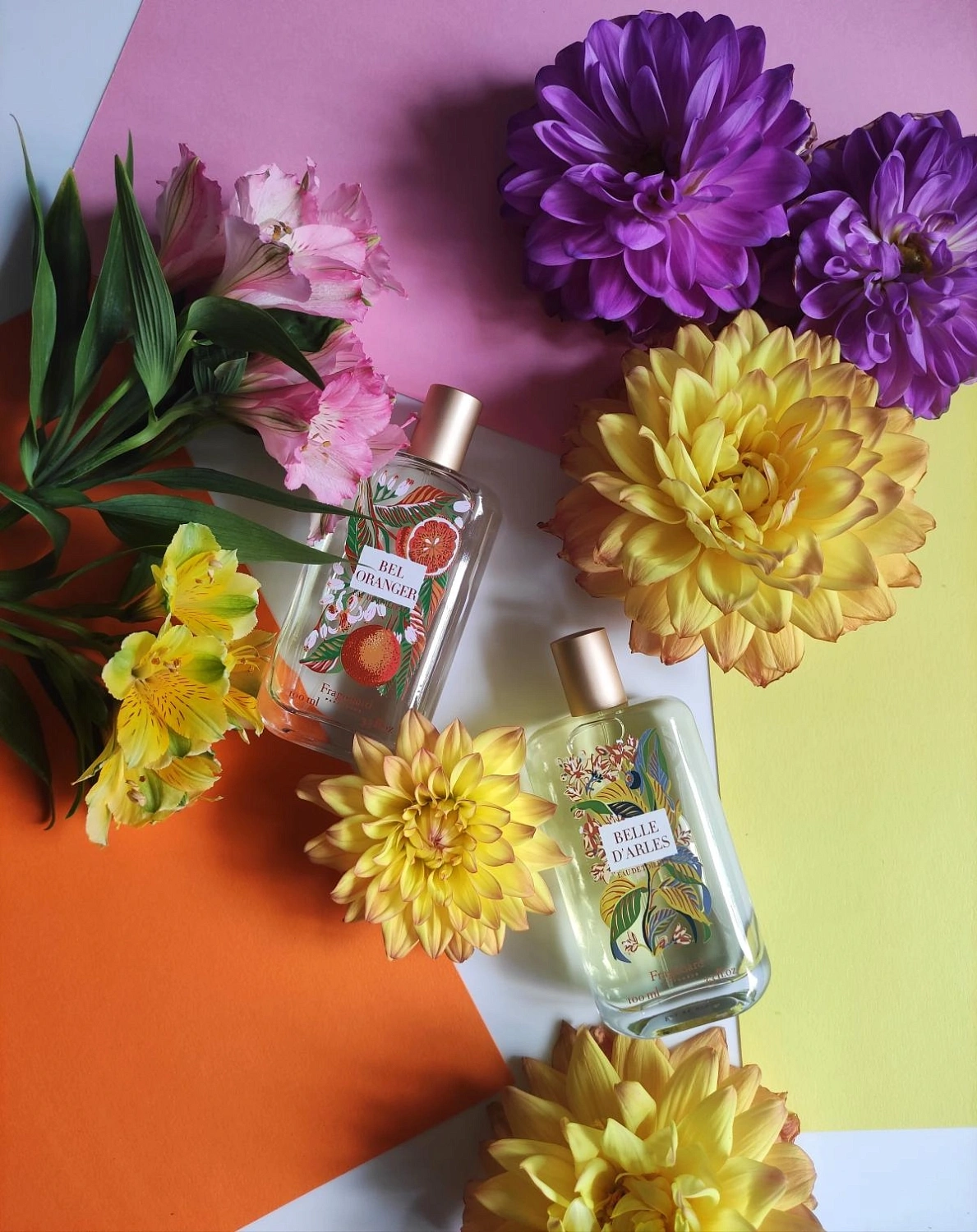 Fragonard Belle d'Arles