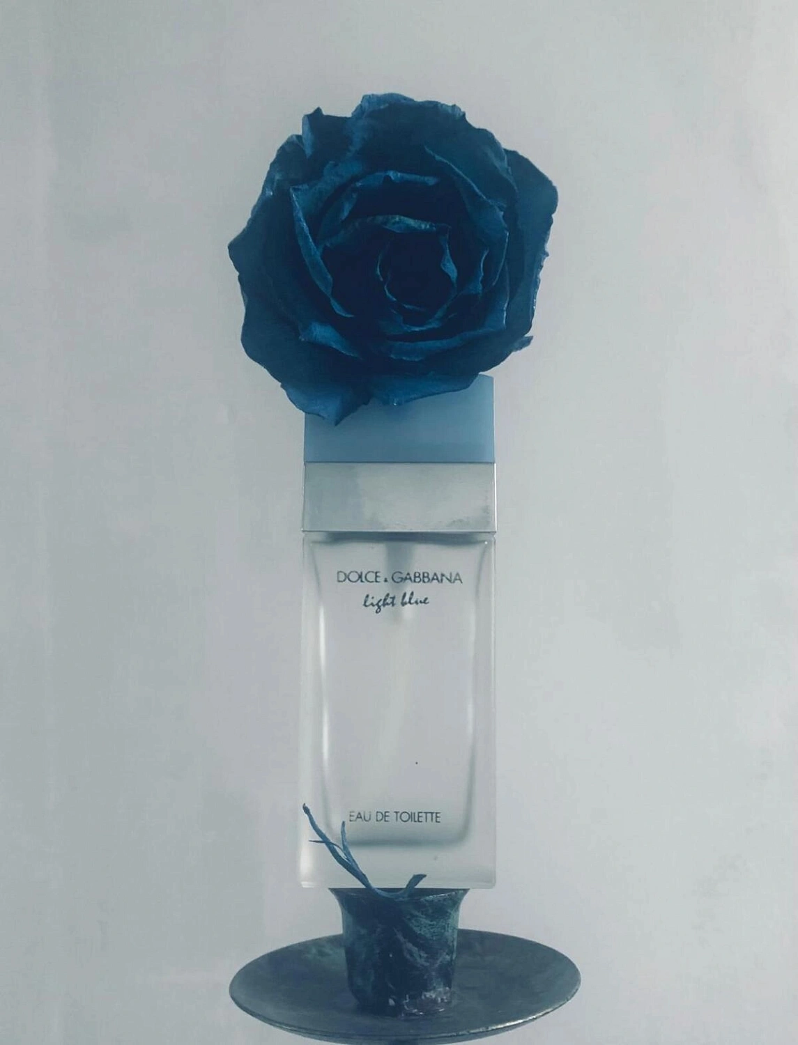 DOLCE & GABBANA Light Blue