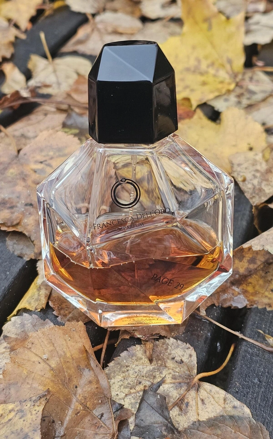 Francesca dell'Oro Page 29