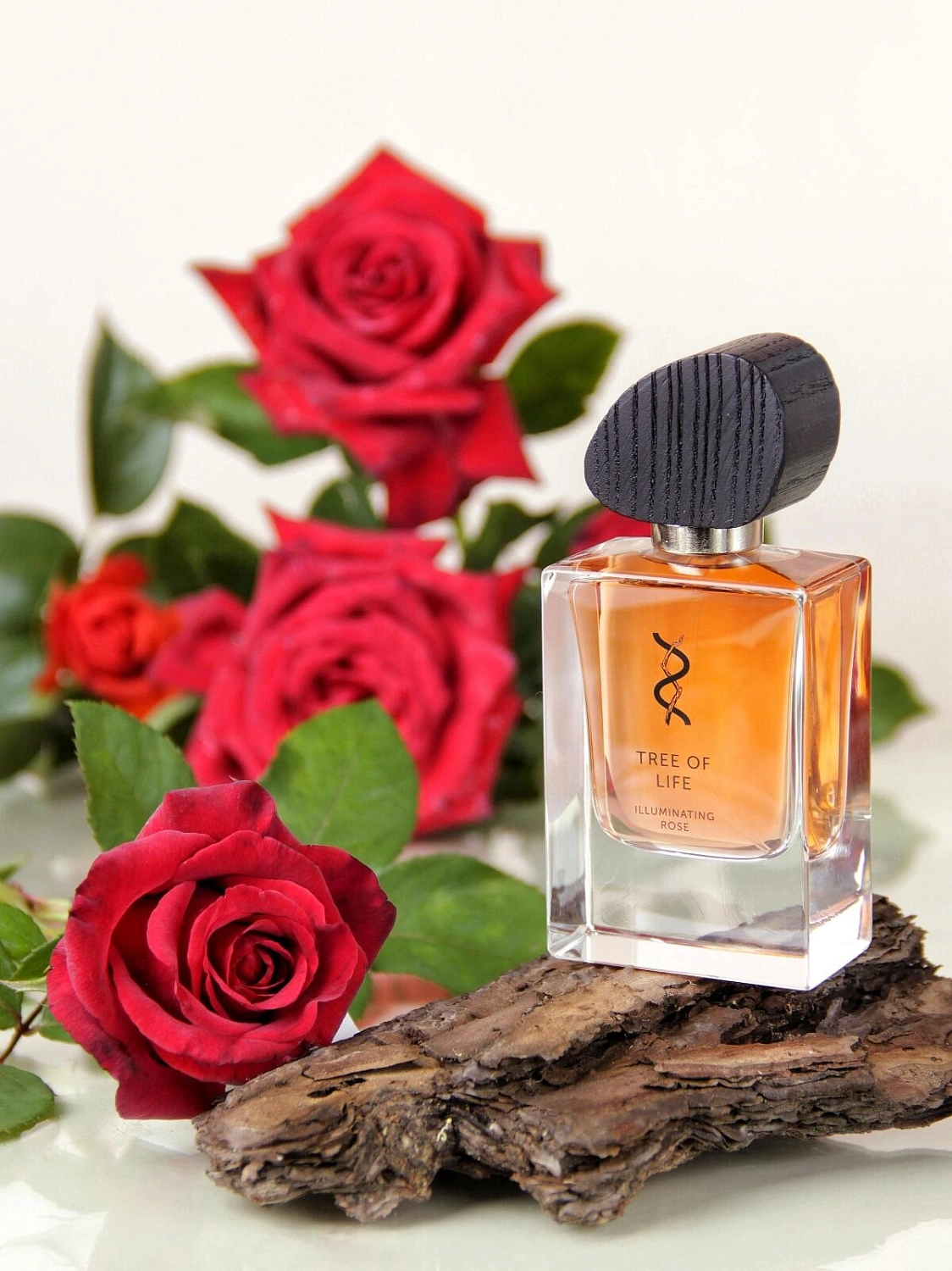 Tree of Life Illuminating Rose