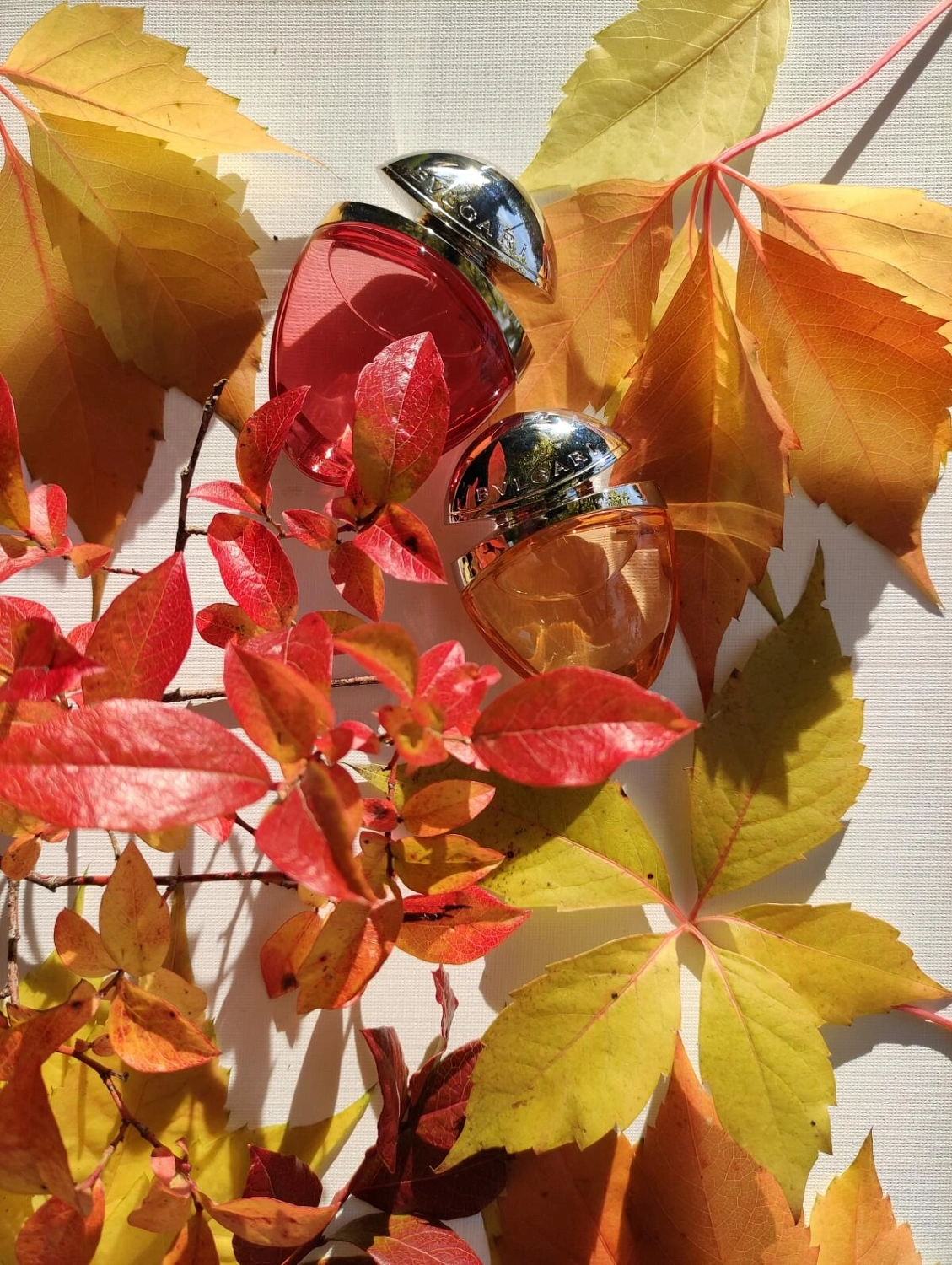 BVLGARI Omnia Indian Garnet