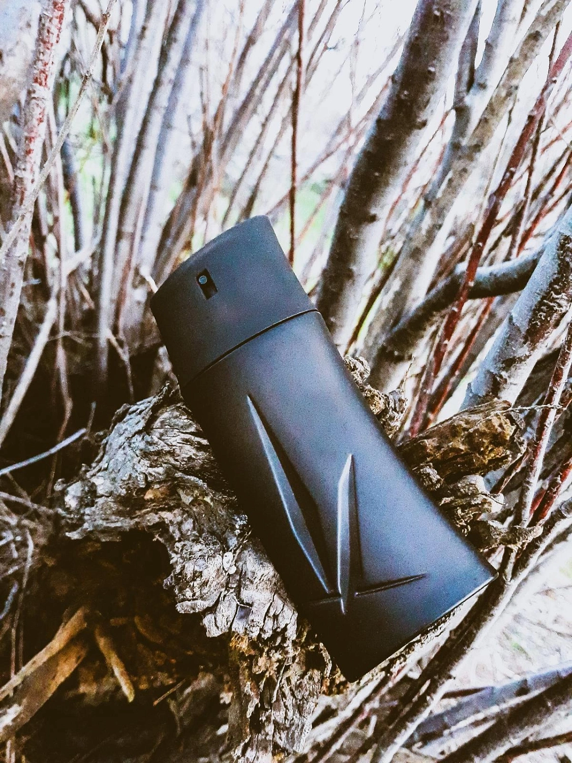 Kenzo Homme Eau de Toilette Boisee