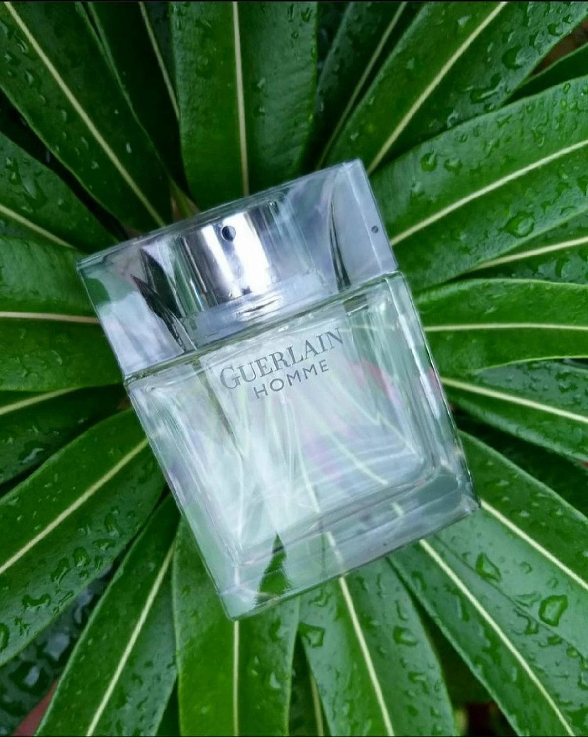 Guerlain Homme
