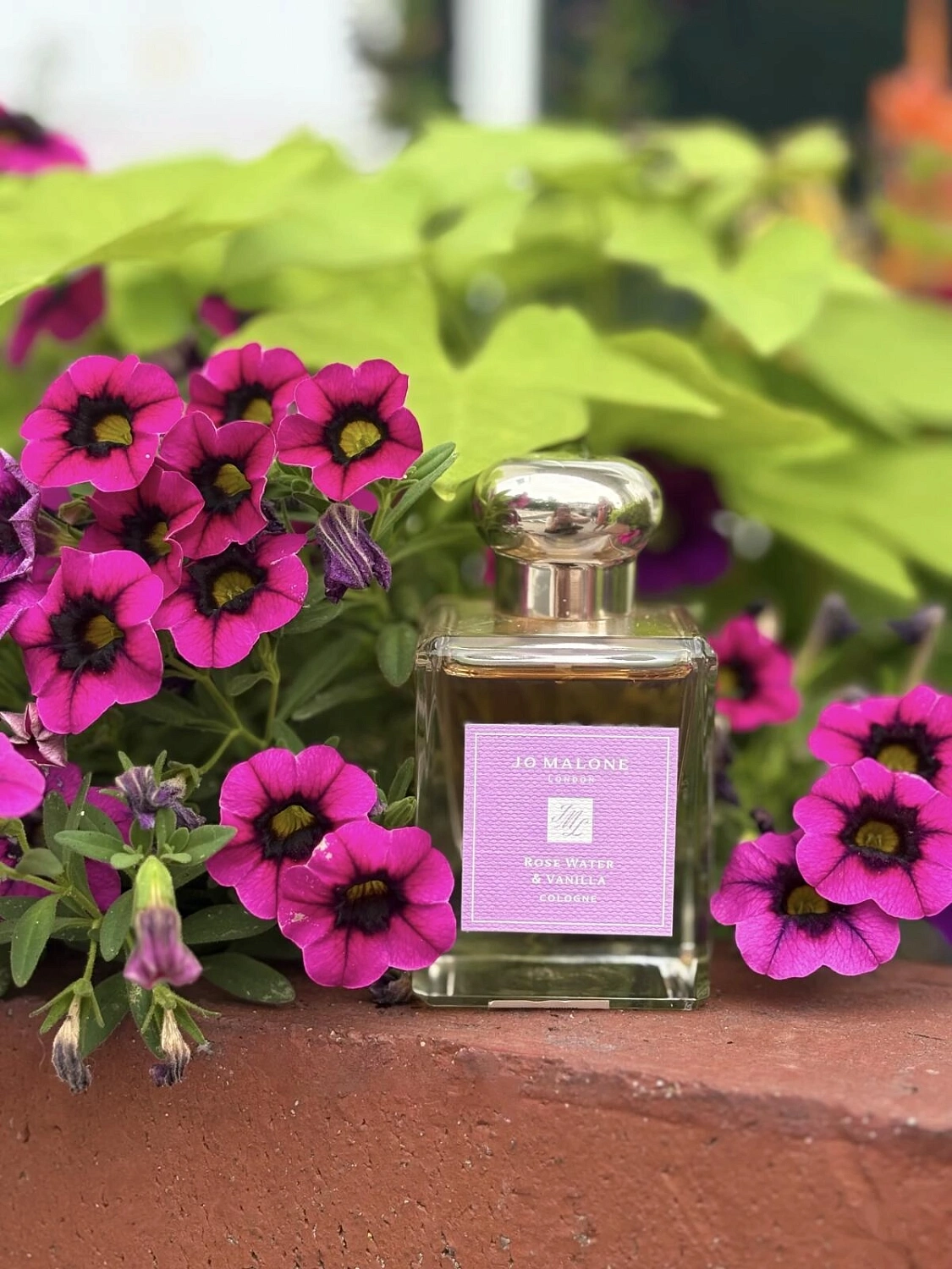 Jo Malone Rose Water & Vanilla Cologne Intense Jo Malone Rose Water & Vanilla Cologne Intense