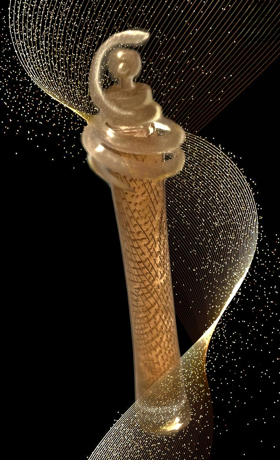 Roberto Cavalli Oro Roberto Cavalli Oro