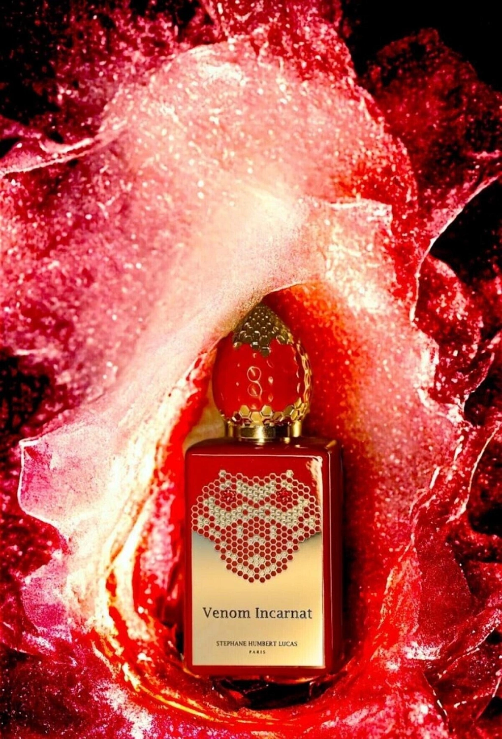 Stephane Humbert Lucas 777 Venom Incarnat