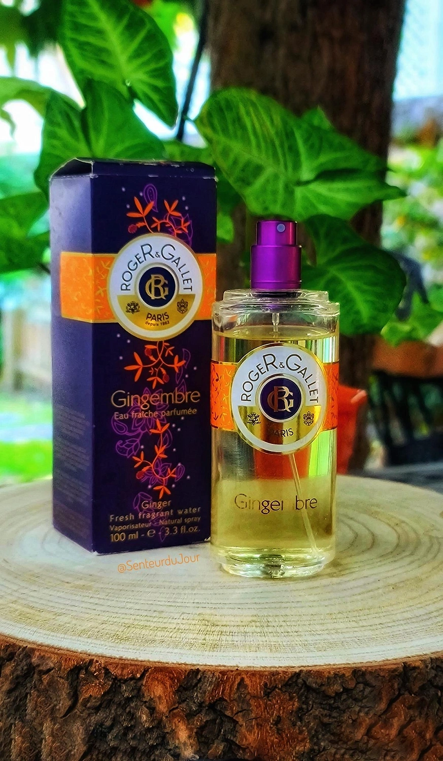 Roger & Gallet Gingembre
