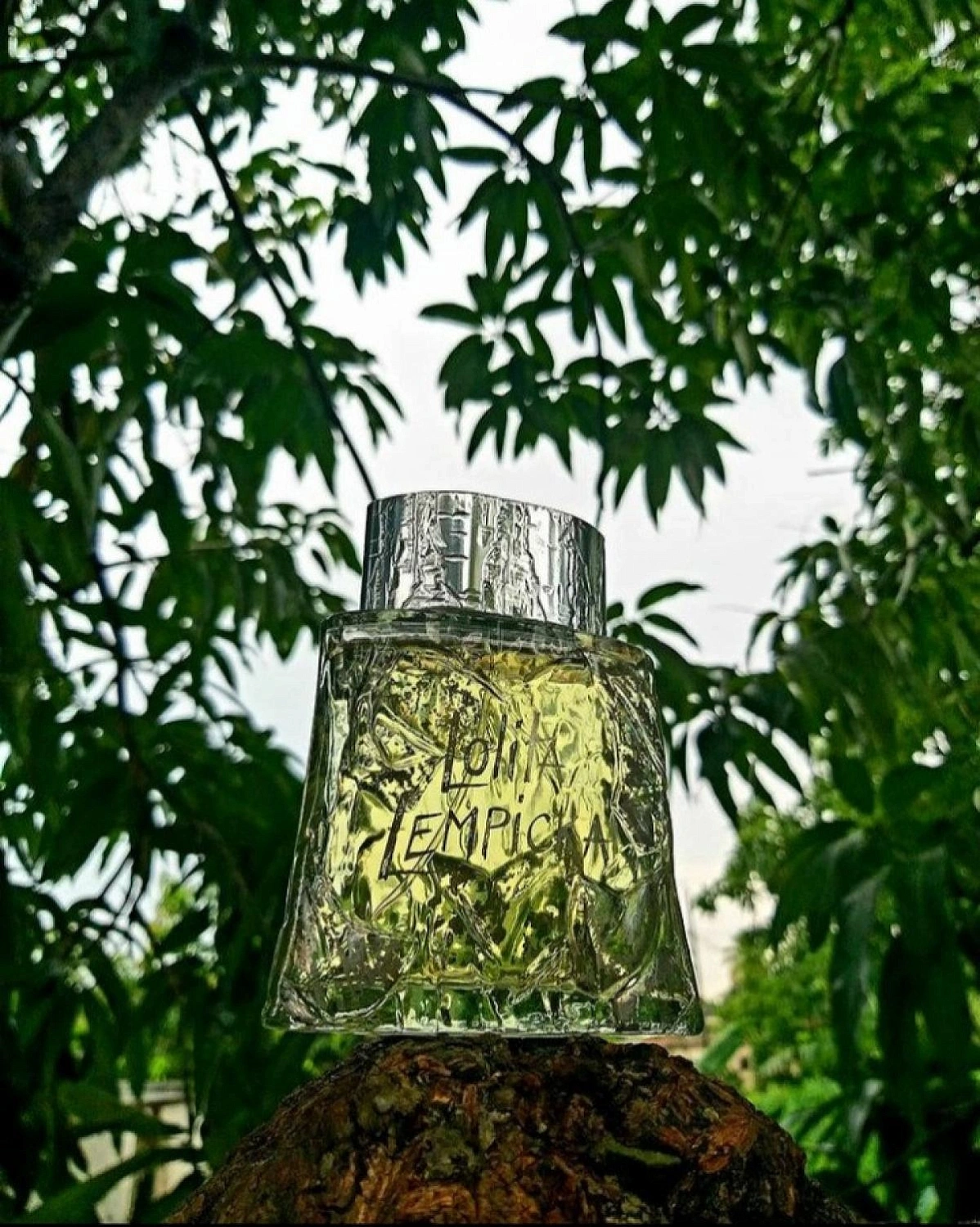 Lolita Lempicka Au Masculin Lolita Lempicka Au Masculin