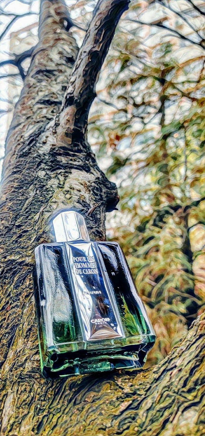 Caron Impact Pour Un Homme