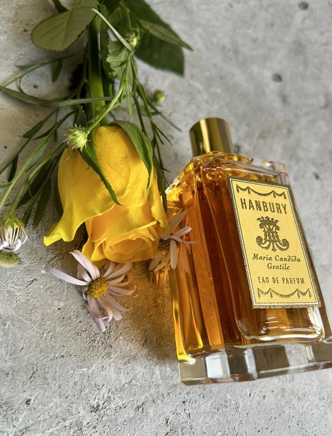 Maria Candida Gentile Hanbury