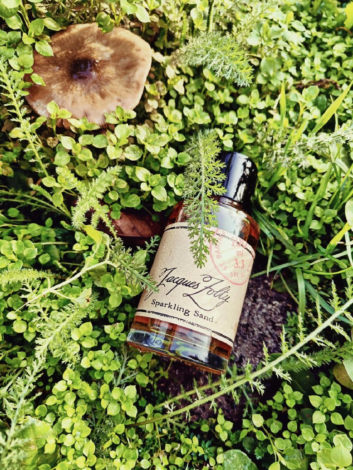 Jacques Zolty Sparkling Sand