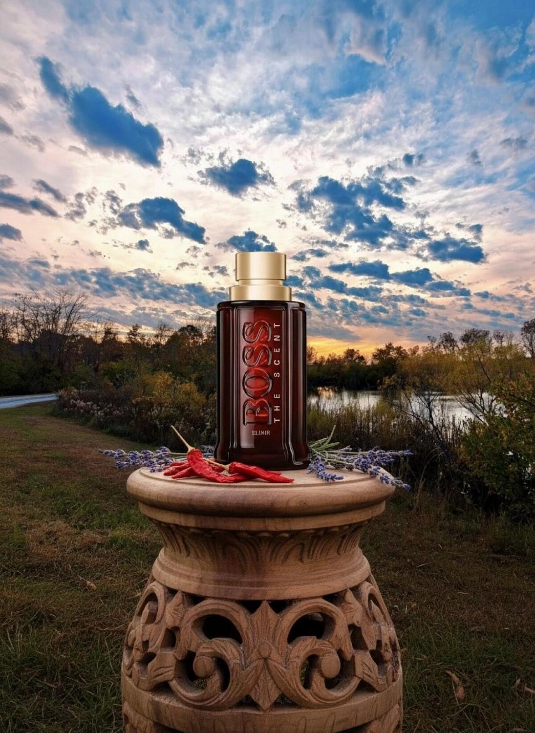 HUGO BOSS Boss the Scent Elixir For Him