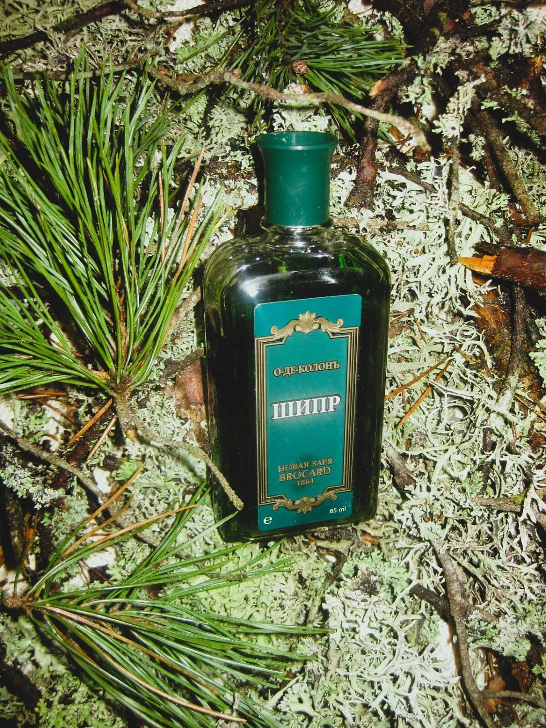 Novaya Zarya (Новая Заря) Шипр