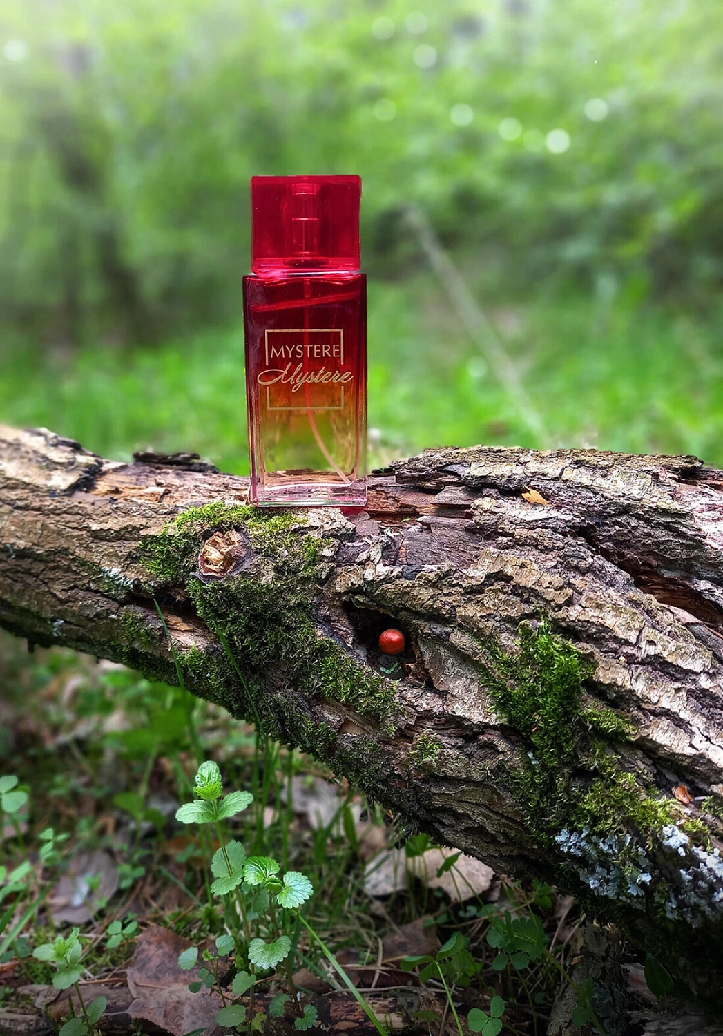 Novaya Zarya (Новая Заря) Тайна (Mystere)