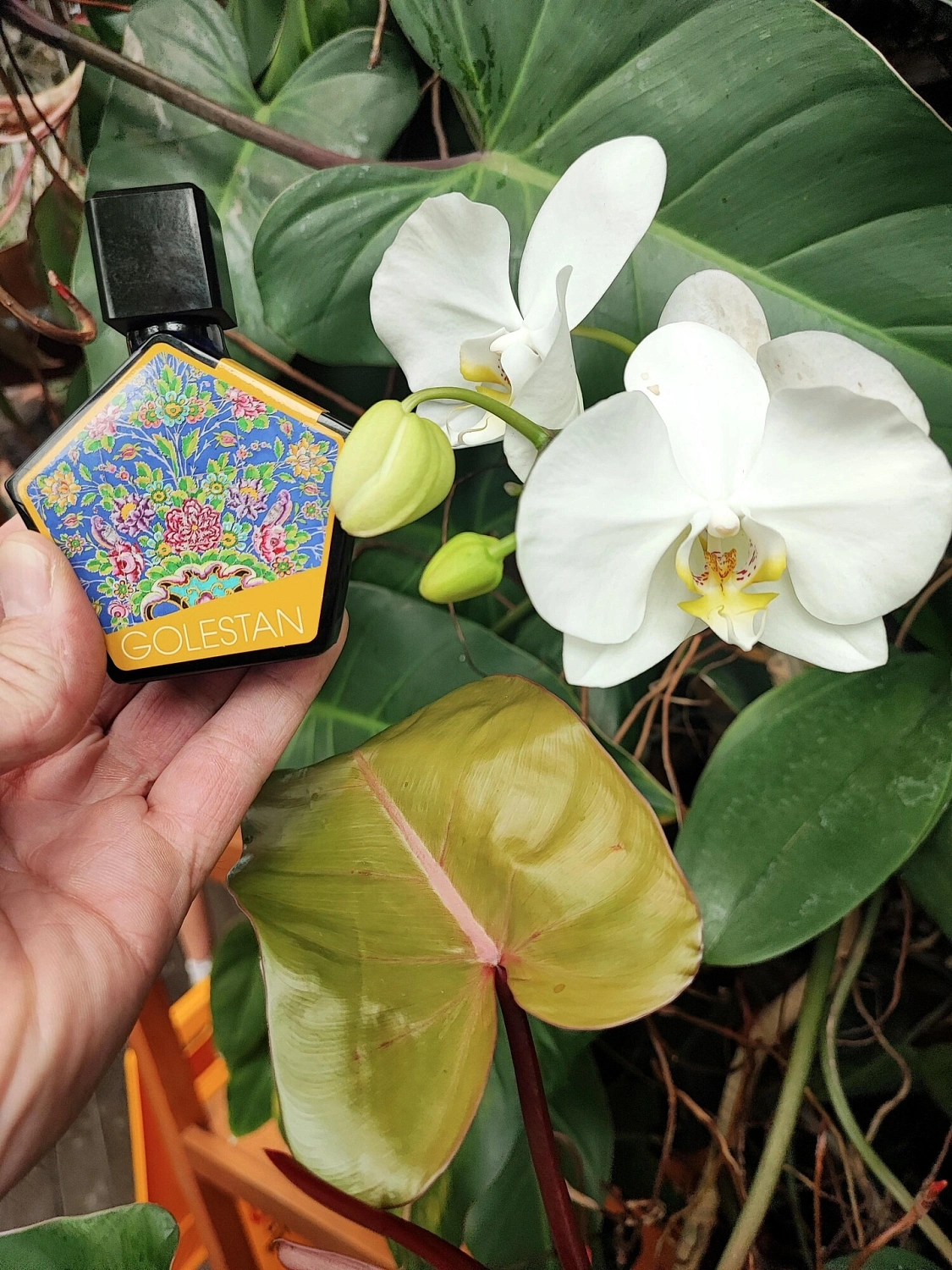 Tauer Perfumes Golestan