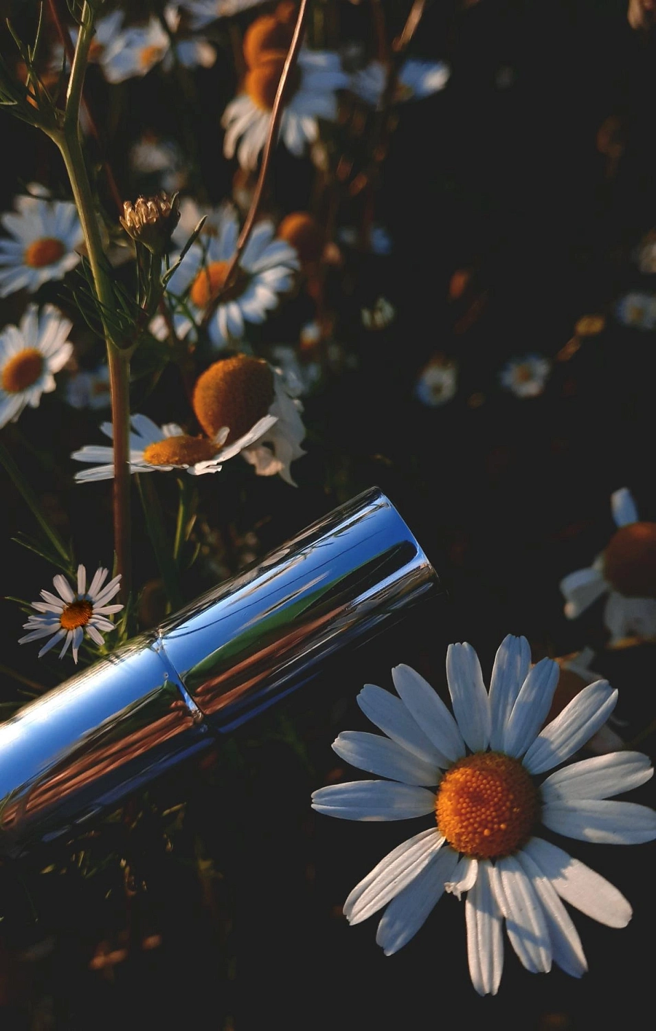 The Different Company De Bachmakov