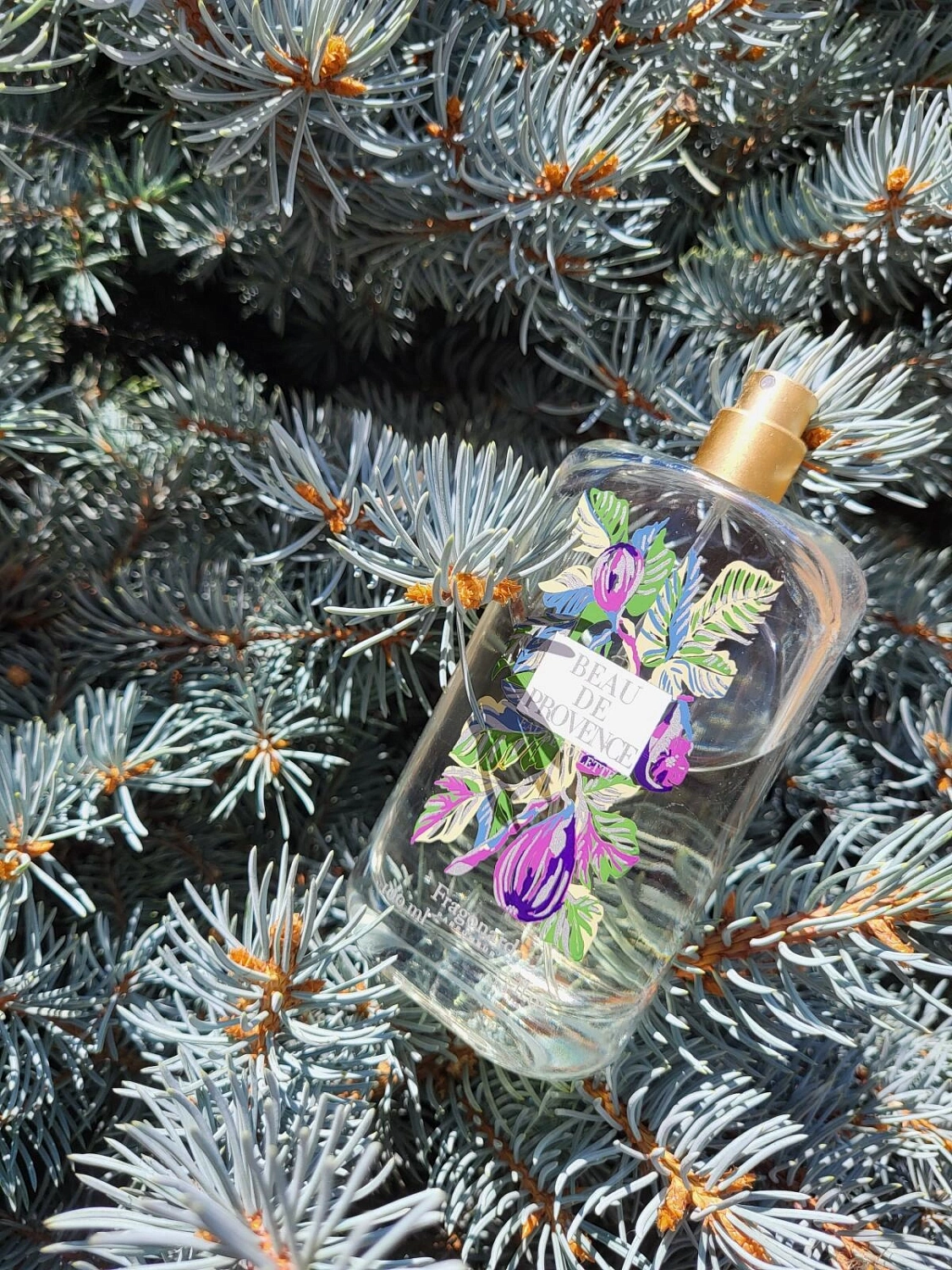 Fragonard Beau De Provence