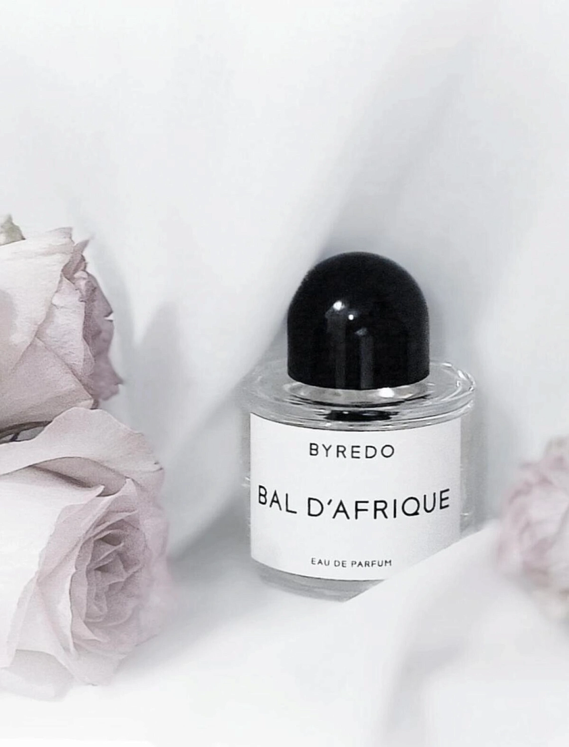 BYREDO Bal d`Afrique