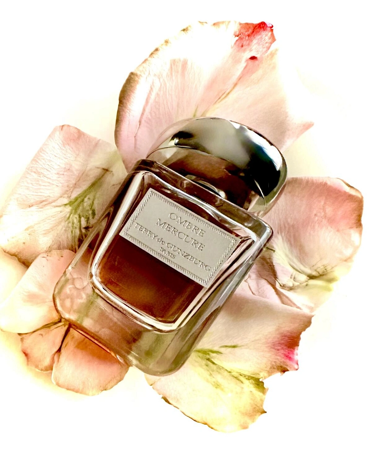 Terry De Gunzburg Ombre Mercure Terry De Gunzburg Ombre Mercure