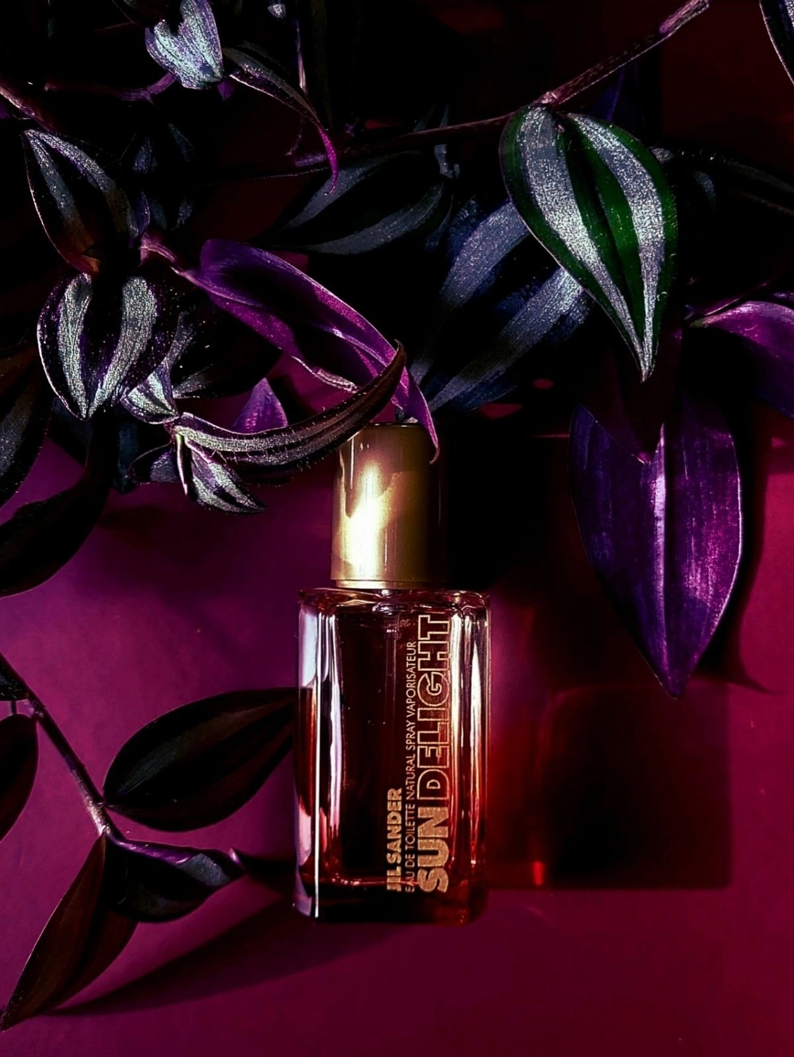 Jil Sander Sun Delight