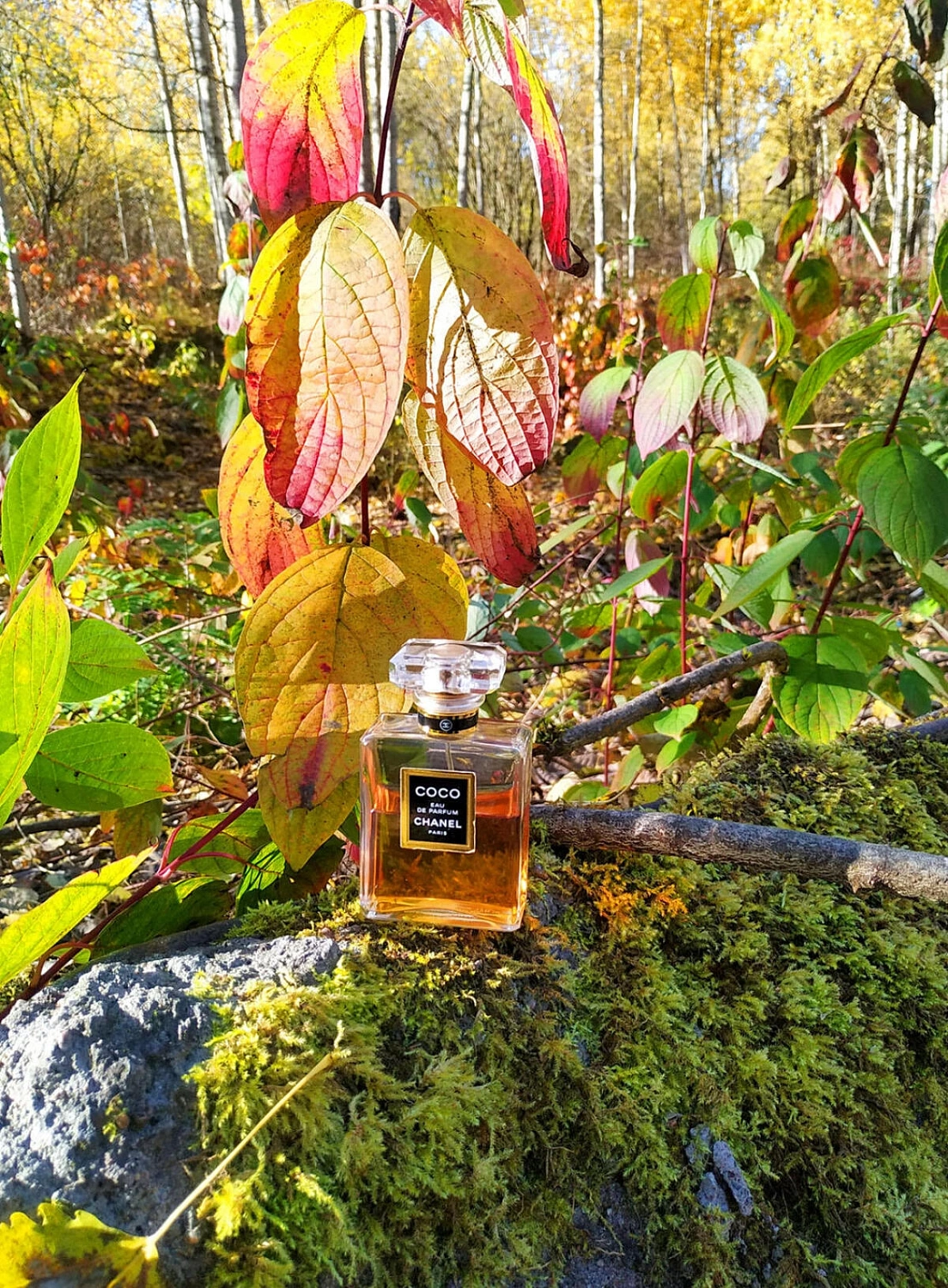 Chanel Coco