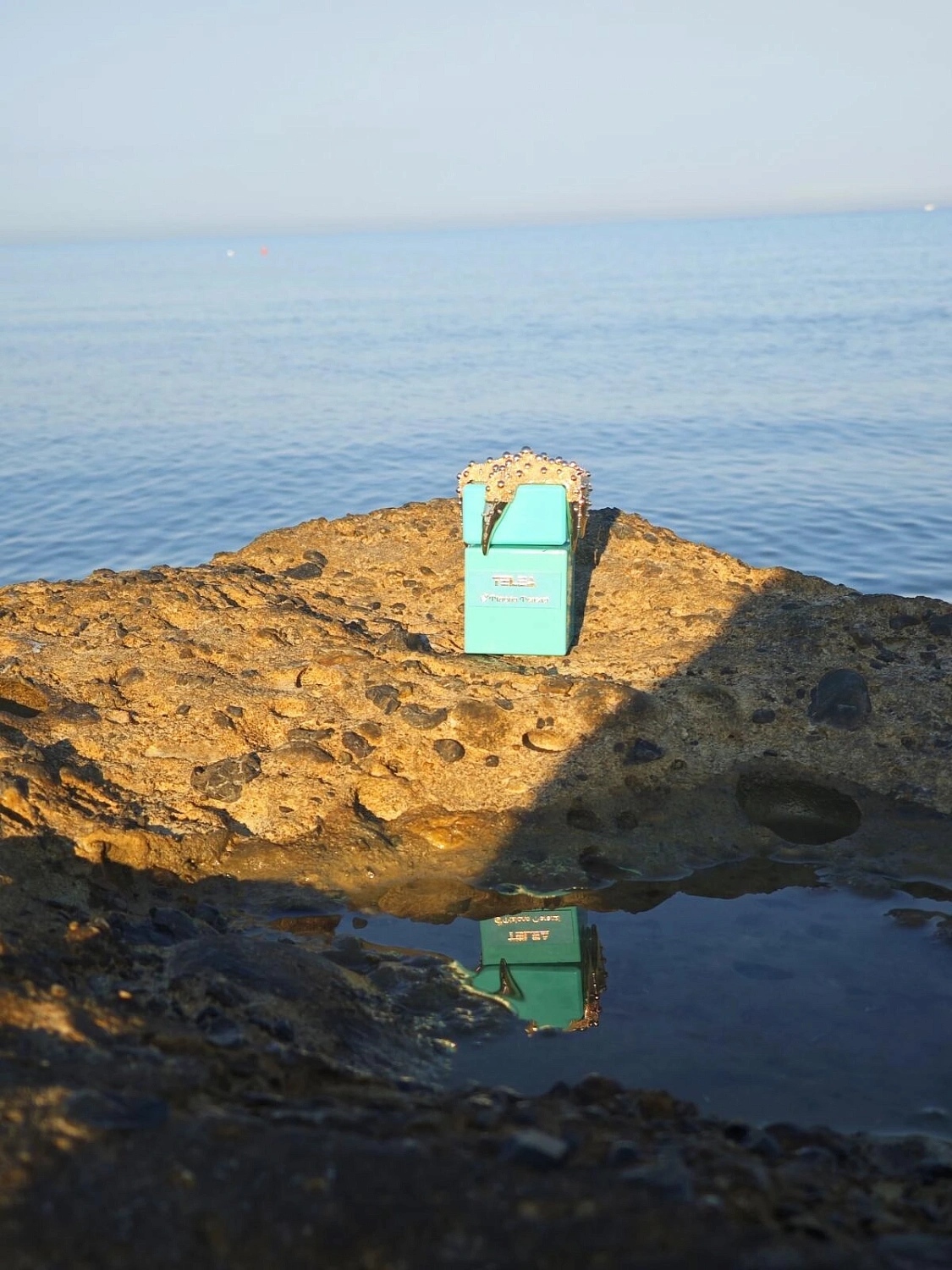 Tiziana Terenzi Telea