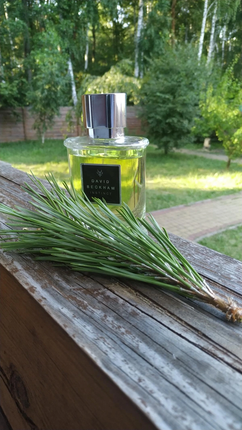 David Beckham Instinct