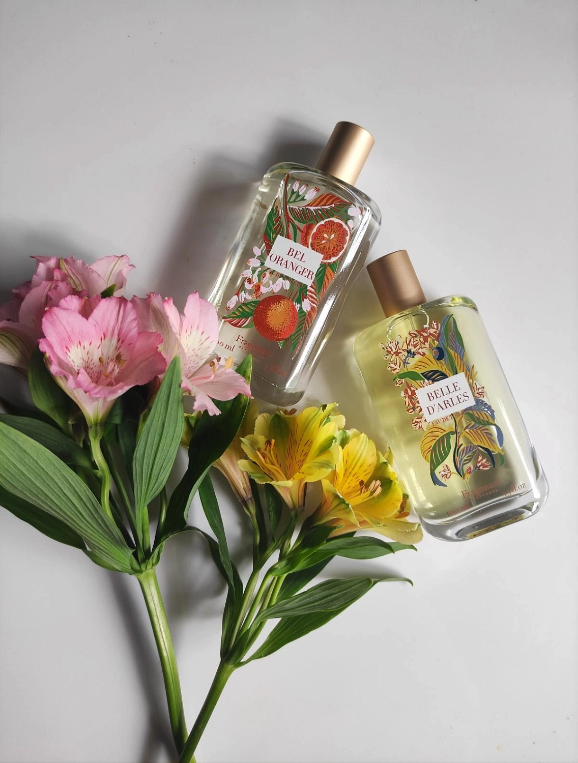 Fragonard Belle d'Arles