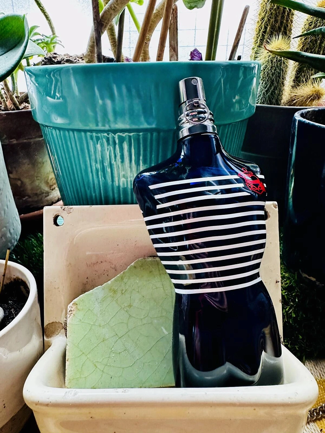 Jean Paul Gaultier Le Male Couple