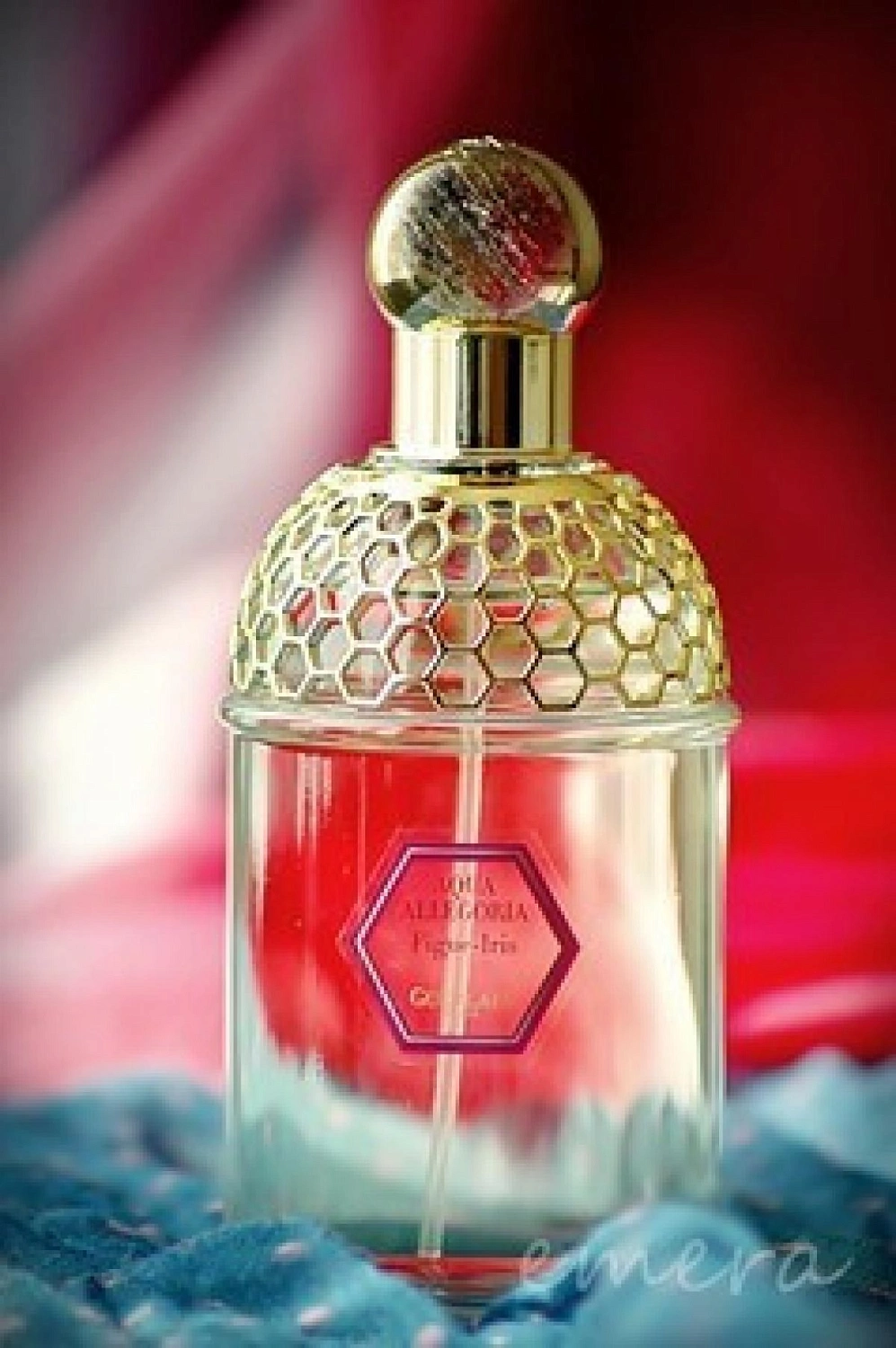 Guerlain Aqua Allegoria Figue Iris