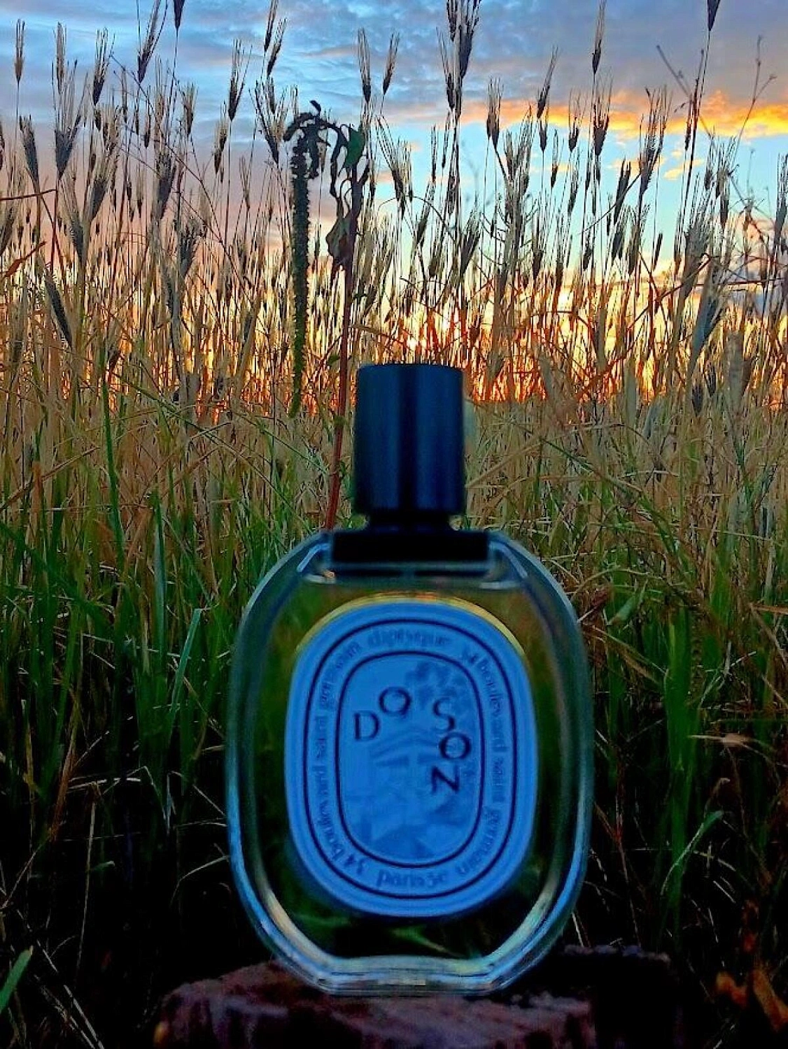 Diptyque Do Son Eau de Toilette Limited Edition 2022