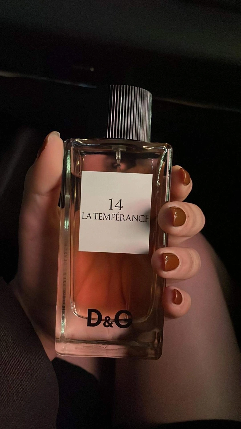 DOLCE & GABBANA Anthology La Temperance 14 DOLCE & GABBANA Anthology La Temperance 14