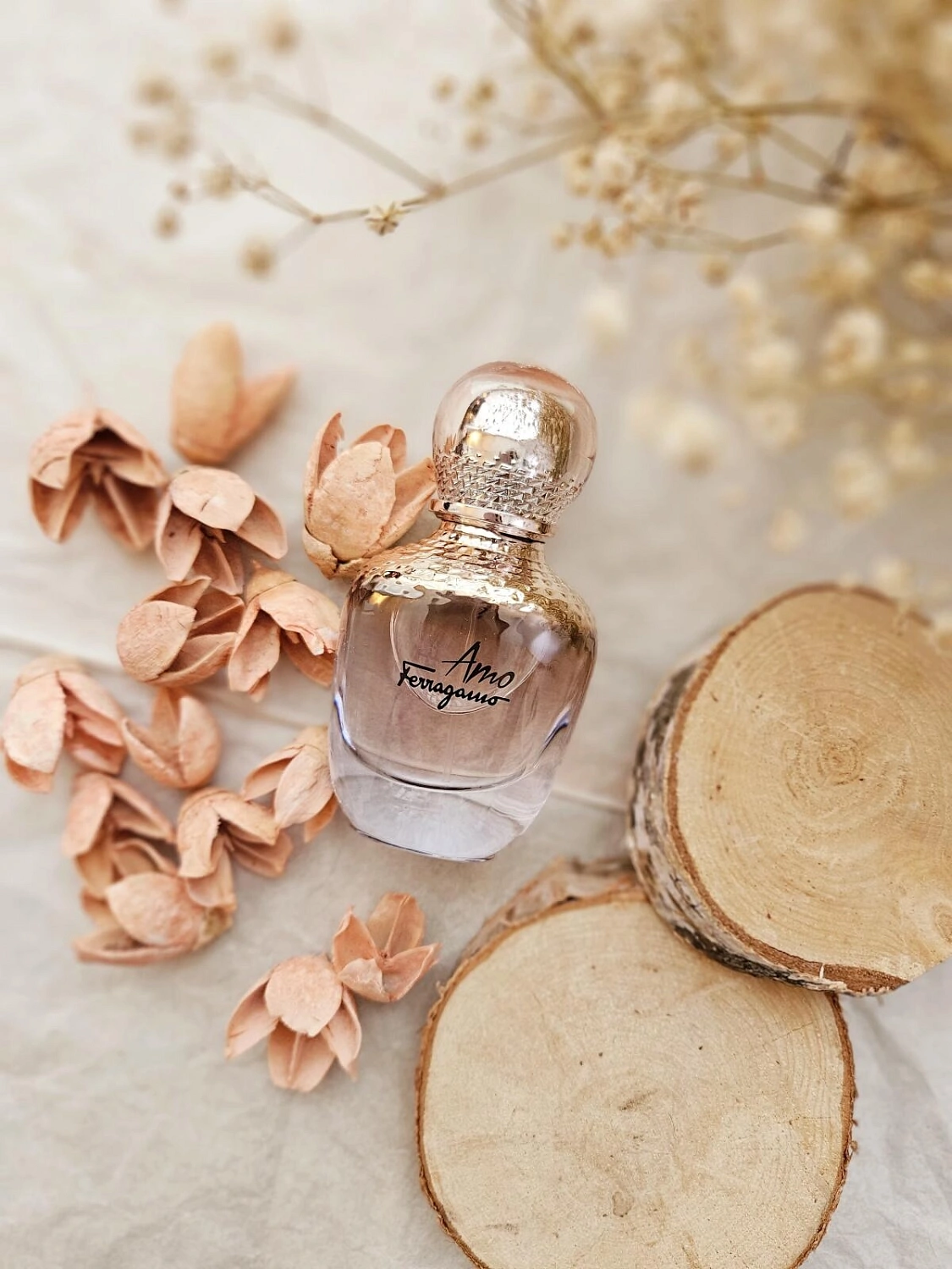 Salvatore Ferragamo Amo Ferragamo