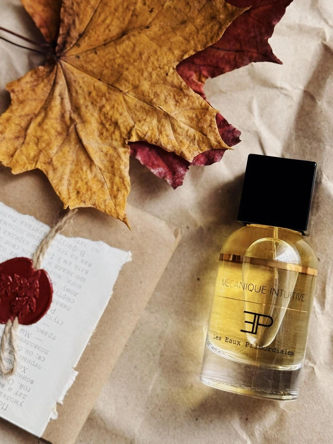 Les Eaux Primordiales Mecanique Intuitive