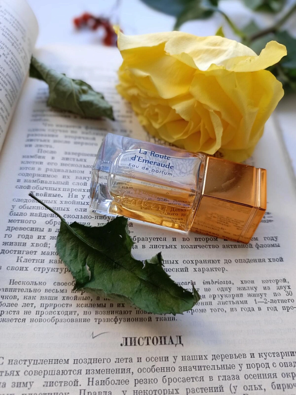 Panouge Isabey La Route d’Emeraude