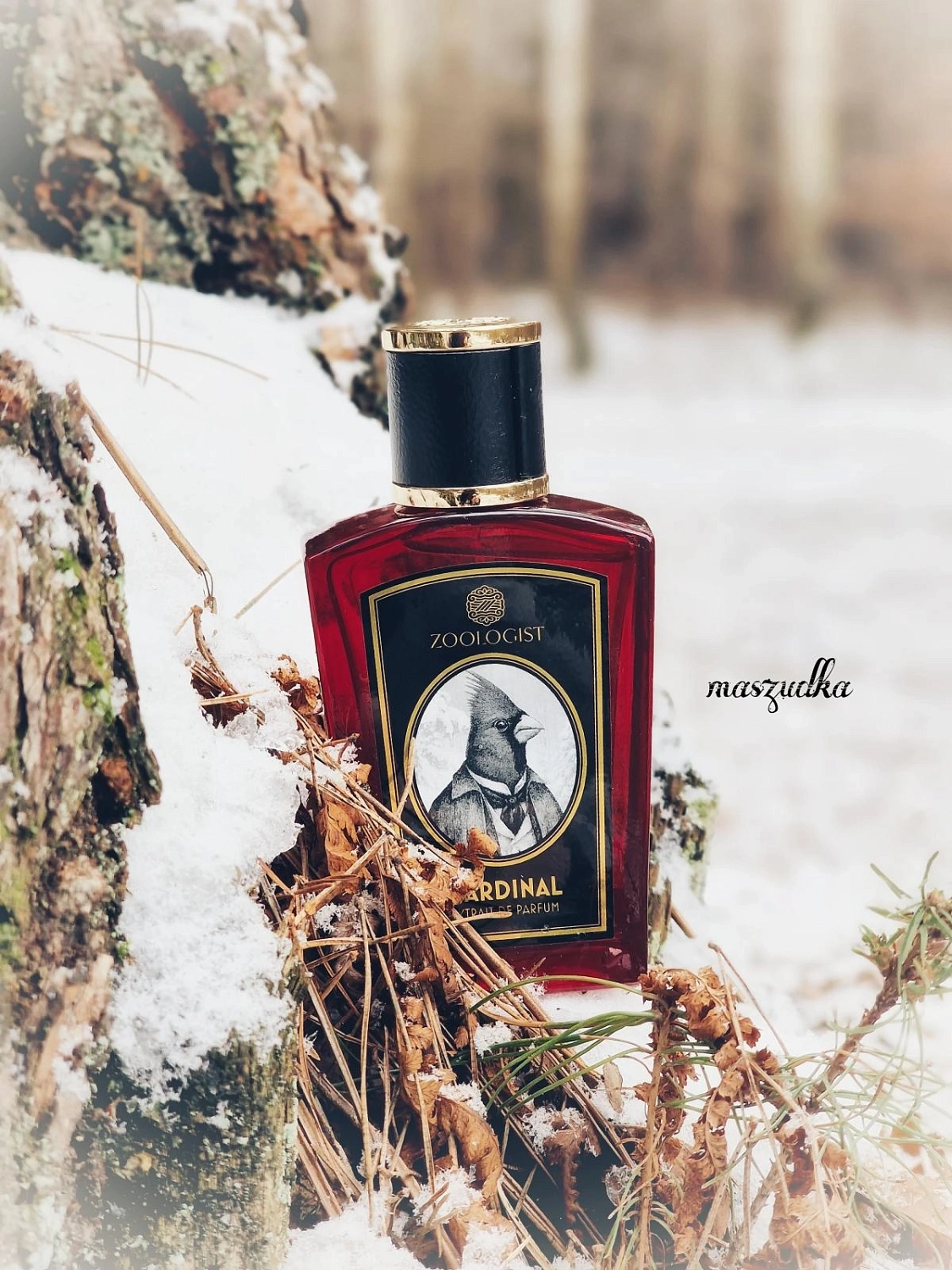 Zoologist Perfumes Northern Cardinal