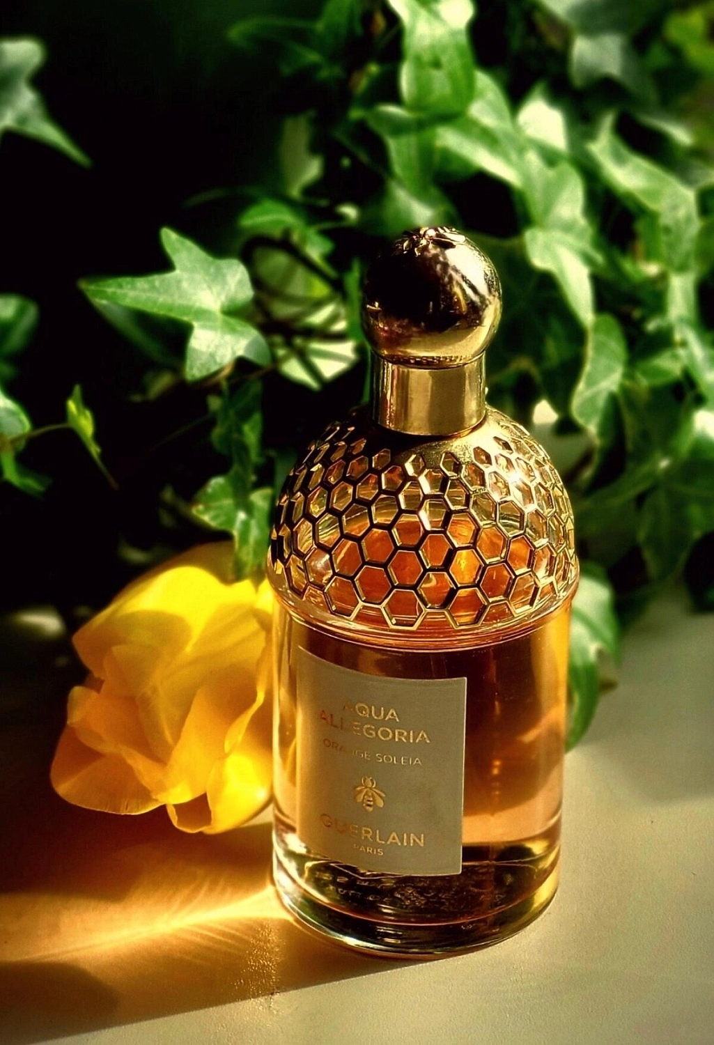 Guerlain Aqua Allegoria Orange Soleia
