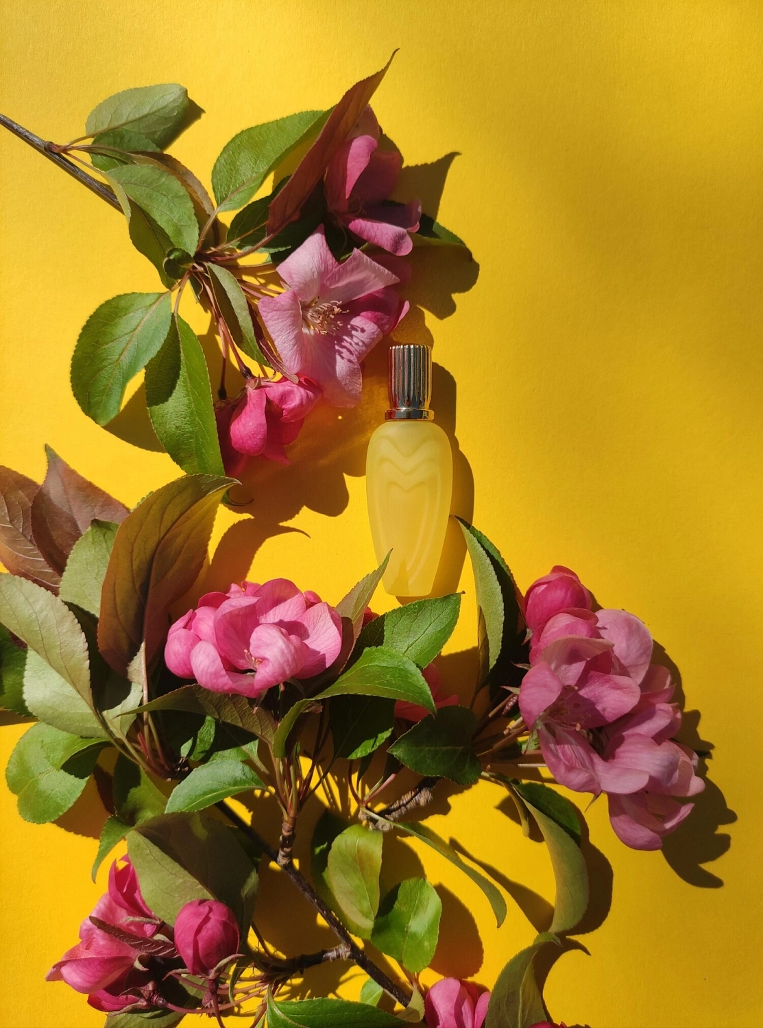 Escada Jardin de Soleil