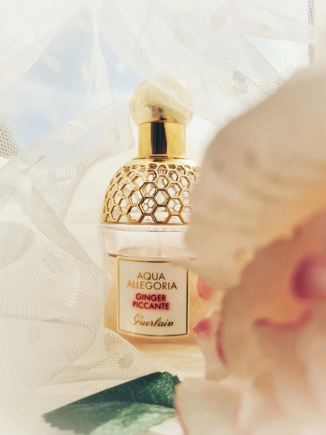 Guerlain Aqua Allegoria Ginger Piccante