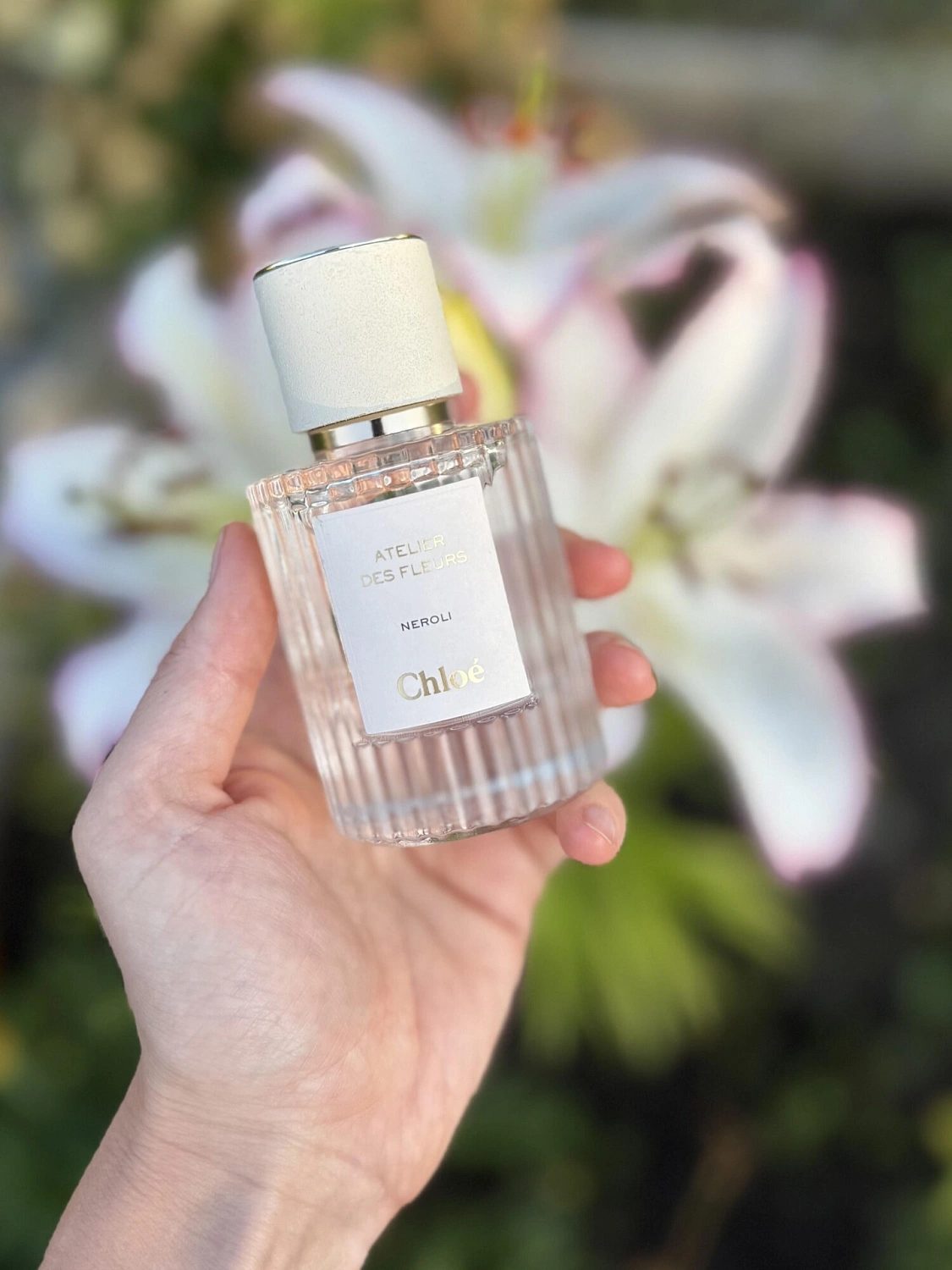 Chloé Atelier Des Fleurs Neroli