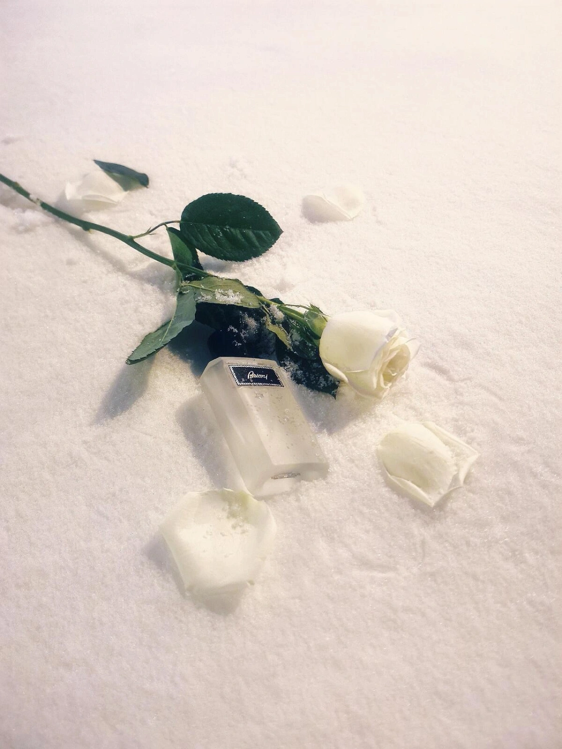 Brioni Eau de Parfum Eclat