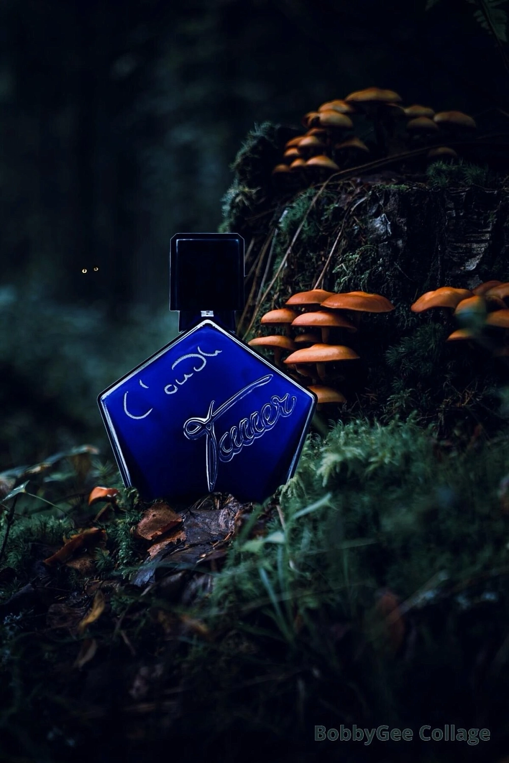 Tauer Perfumes L'Oudh