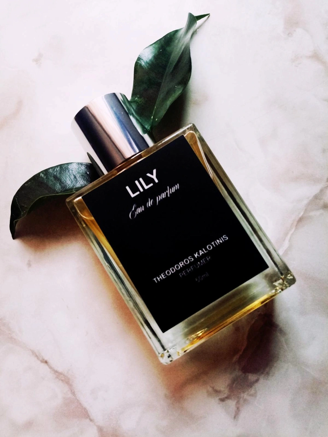 Theodoros Kalotinis Lily